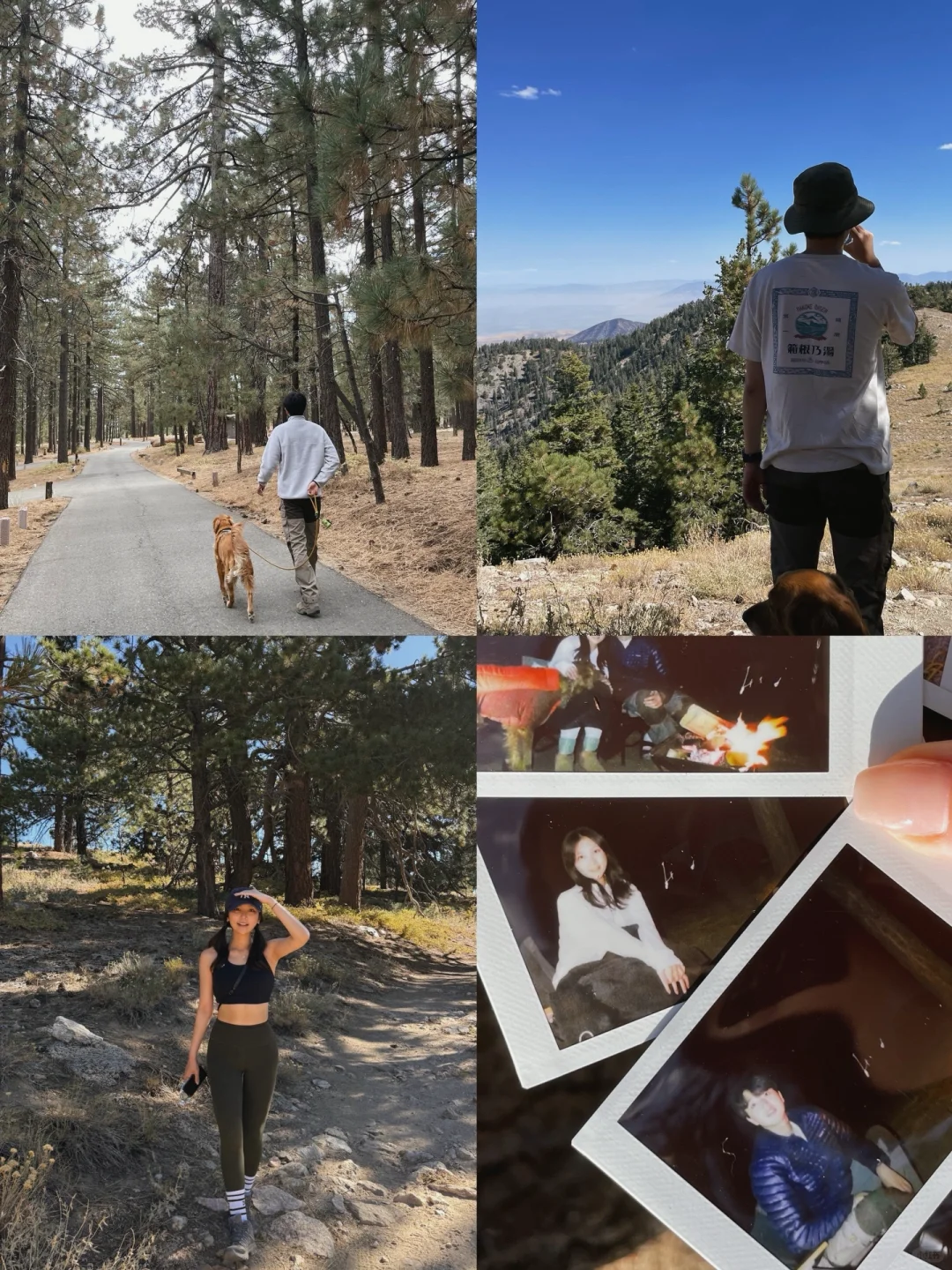 Weekend Hike at Mt Pinos | Top Camping Spot Near Los Angeles ⛰️�️