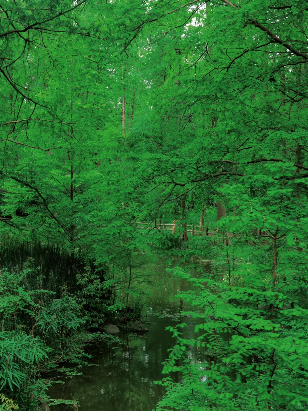 Osaka | Breathe Freely in the Open Air