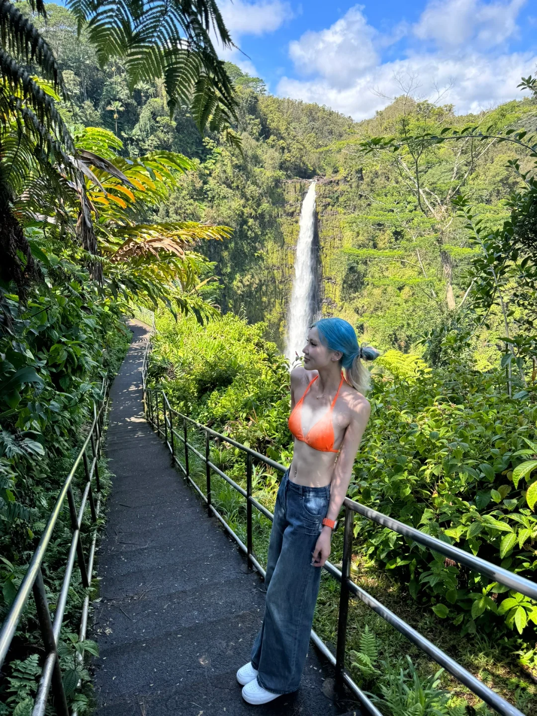 Akaka Falls on Hawaii's Big Island 🌈