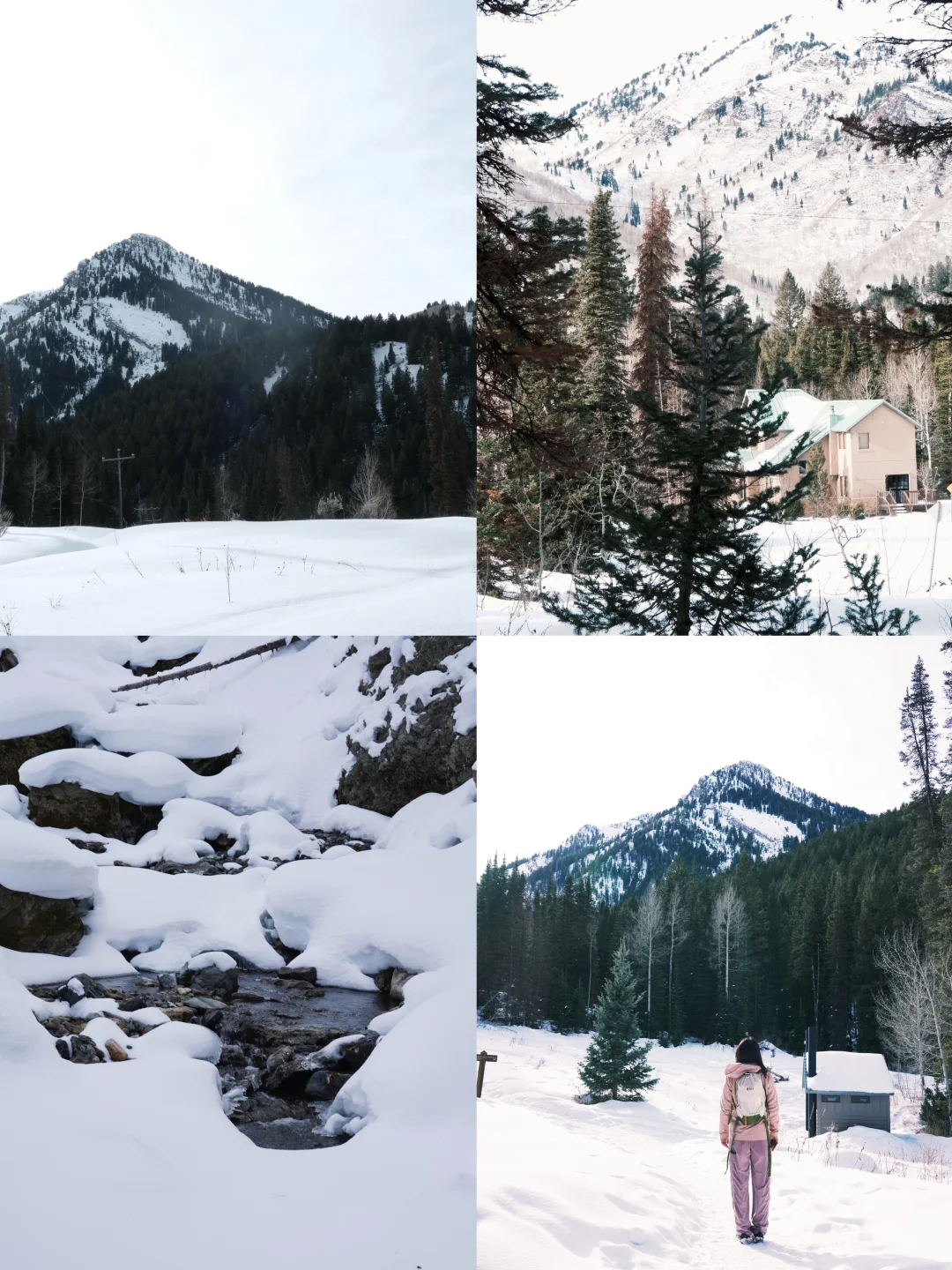 Winter in Salt Lake City: A Family Guide to Snow Play and Ski Lessons �❄️🏔️