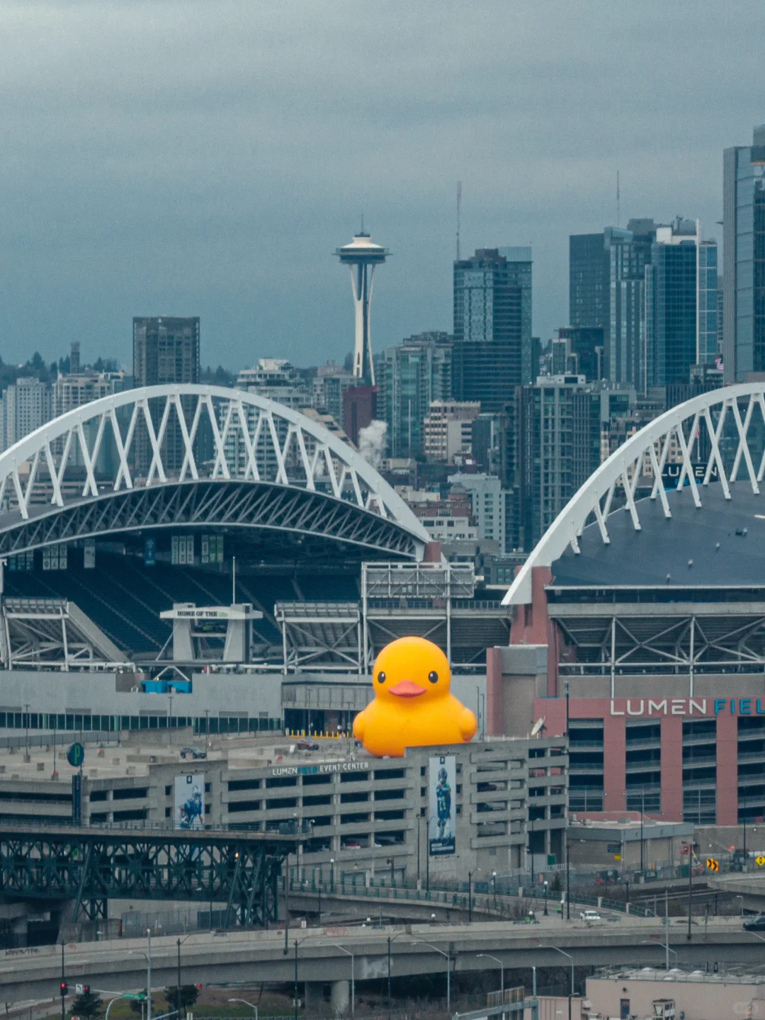 Breaking News!! The Giant Rubber Duck is Coming to Seattle!