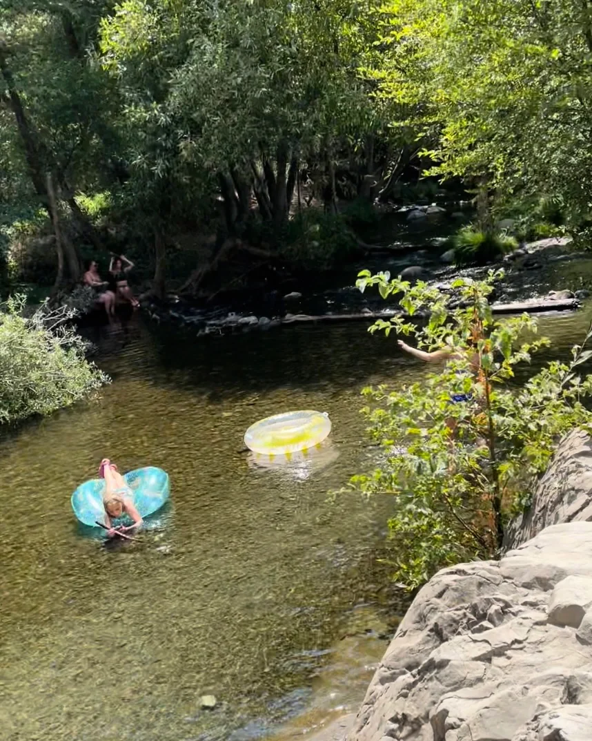 🇺🇸 Bay Area Kid-Friendly Park! Perfect for Shade, Splash, Fish Catching, and Hiking