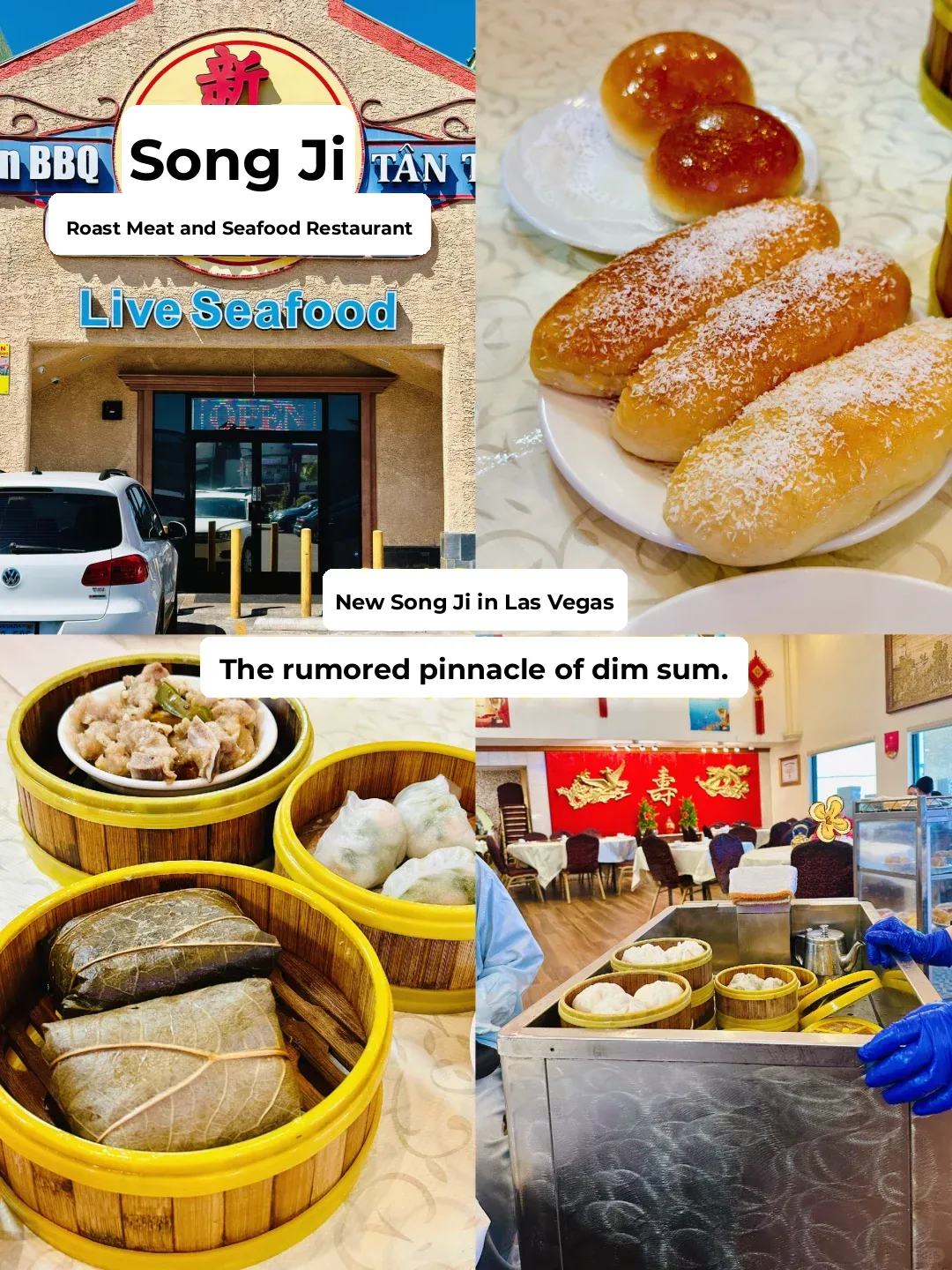 Vegas Travel Diary: Nostalgic Feast at Sun Tung Kee—The Ultimate Affordable Cantonese Dim Sum Experience