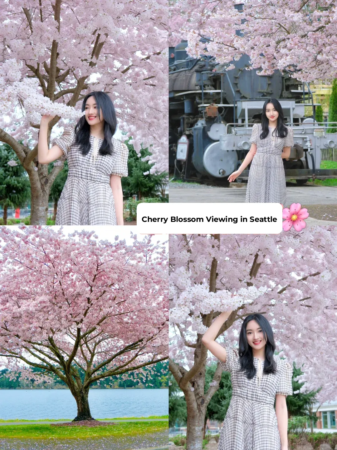 "Cherry Blossom Viewing in Seattle 🌸 | 4 Hidden Gem Photo Spots 📷 That Are Absolutely Instagram-Worthy"