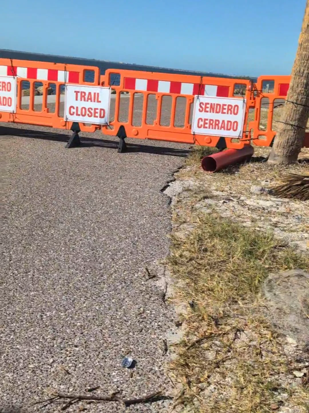 Scouting Tampa's Biking Trails �🚴🏻‍♀️