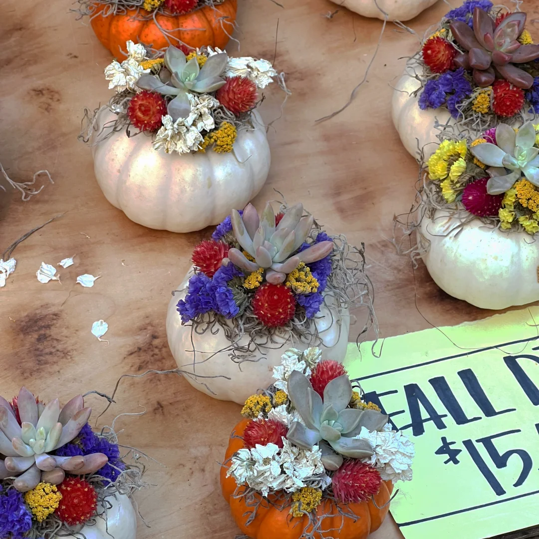 The Best Weekend Activity for Introverts in Philadelphia: Walking