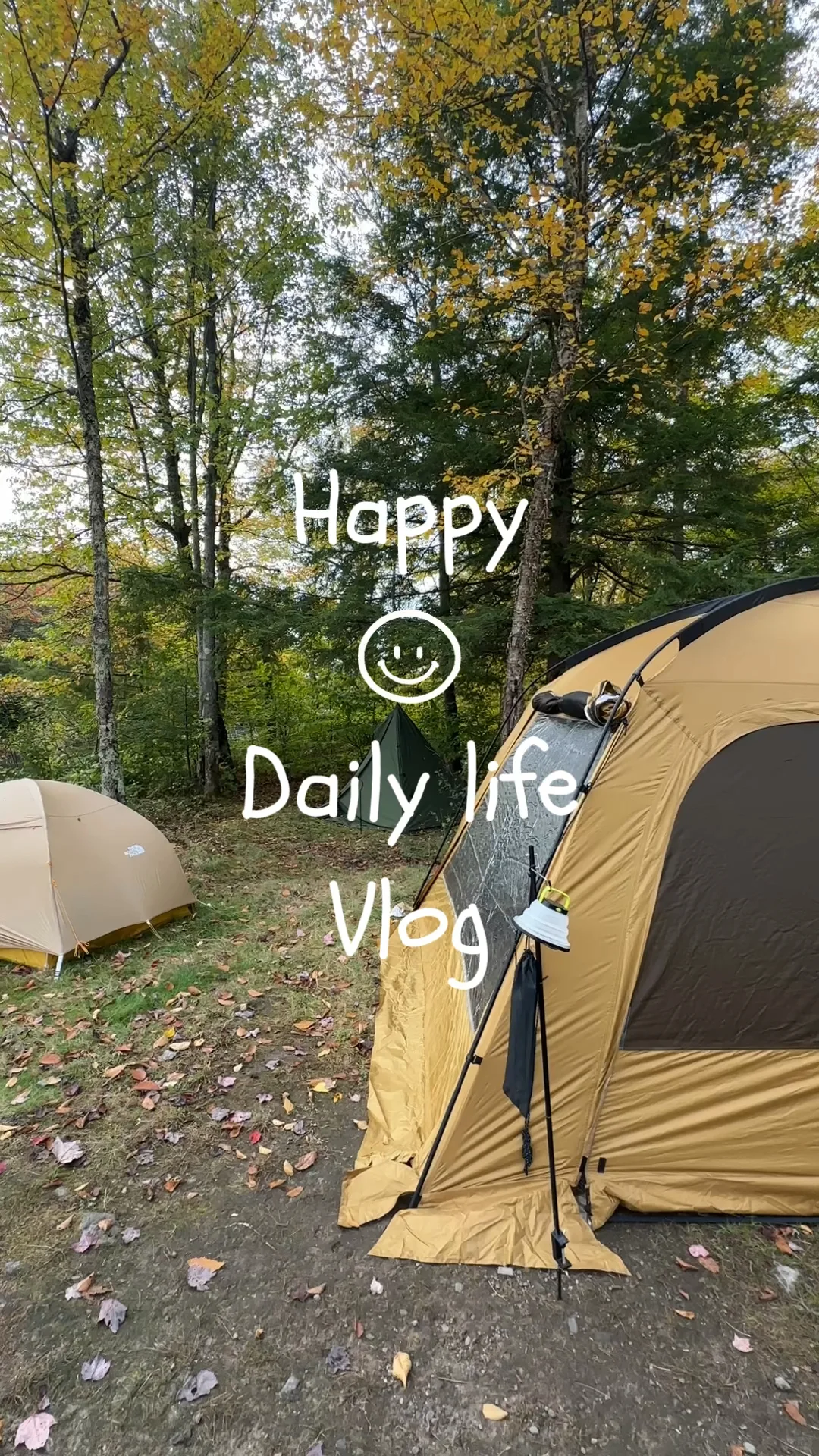 🍁 Leaf Peeping at Mongaup Pond Campground in NYC