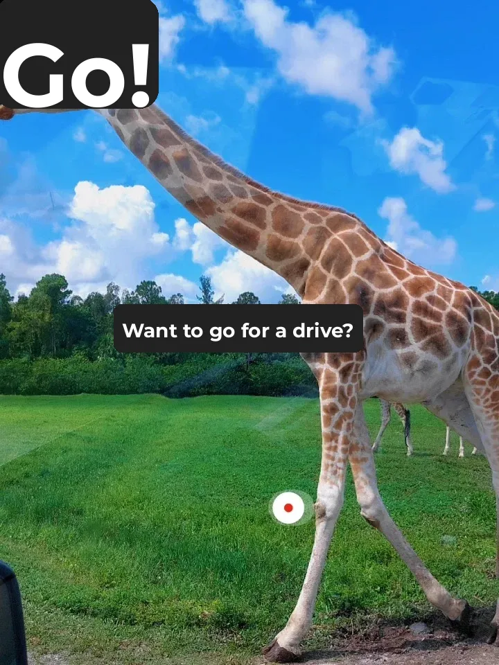 Wildlife Wonderland: Must-Visit Safari Park in North America for Up-Close Animal Encounters