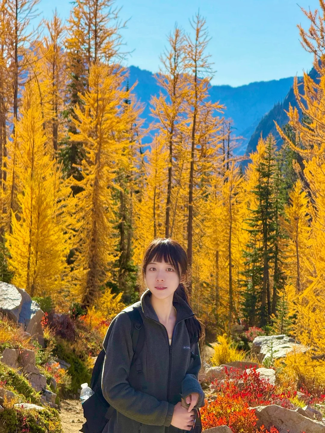 Dreaming of Forever in Seattle's Fall 🍁!