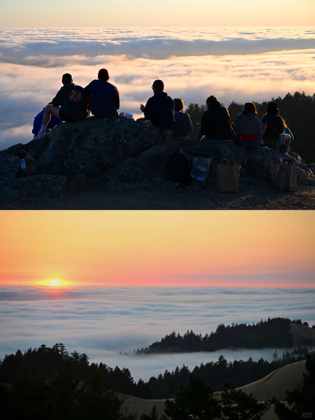 Bay Area Cloud Sea | Absolutely Stunning, I'm Literally Crying, Bro...