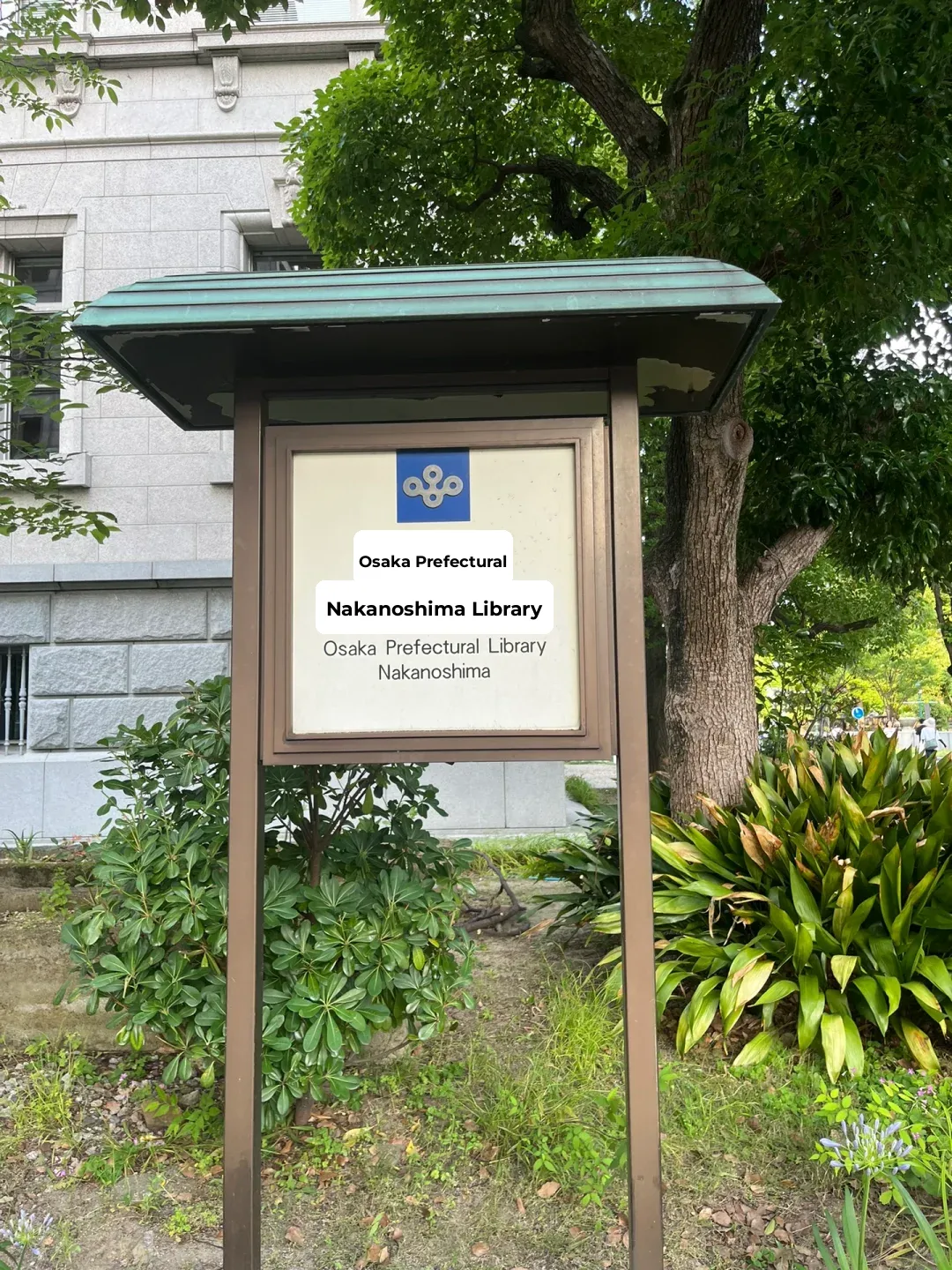 🐦 Skipping Shinsaibashi for Nakanoshima Half-Day Adventure! Meeting Tadao Ando 🎨