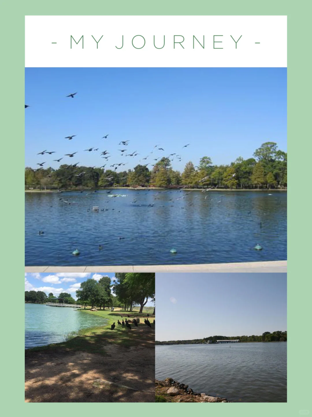 ➡️Quick, Take Notes💗Houston🎣Top Fishing Spots