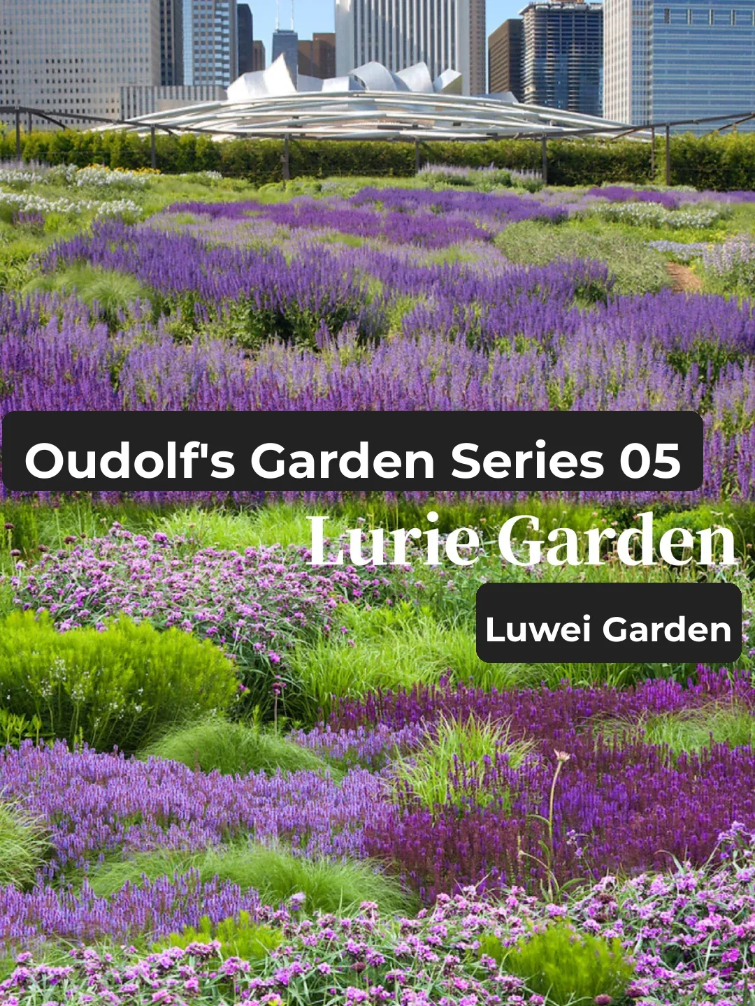 "Piet Oudolf’s Key 42 Plants in the Lurie Garden – A Must-See for Garden Enthusiasts!"