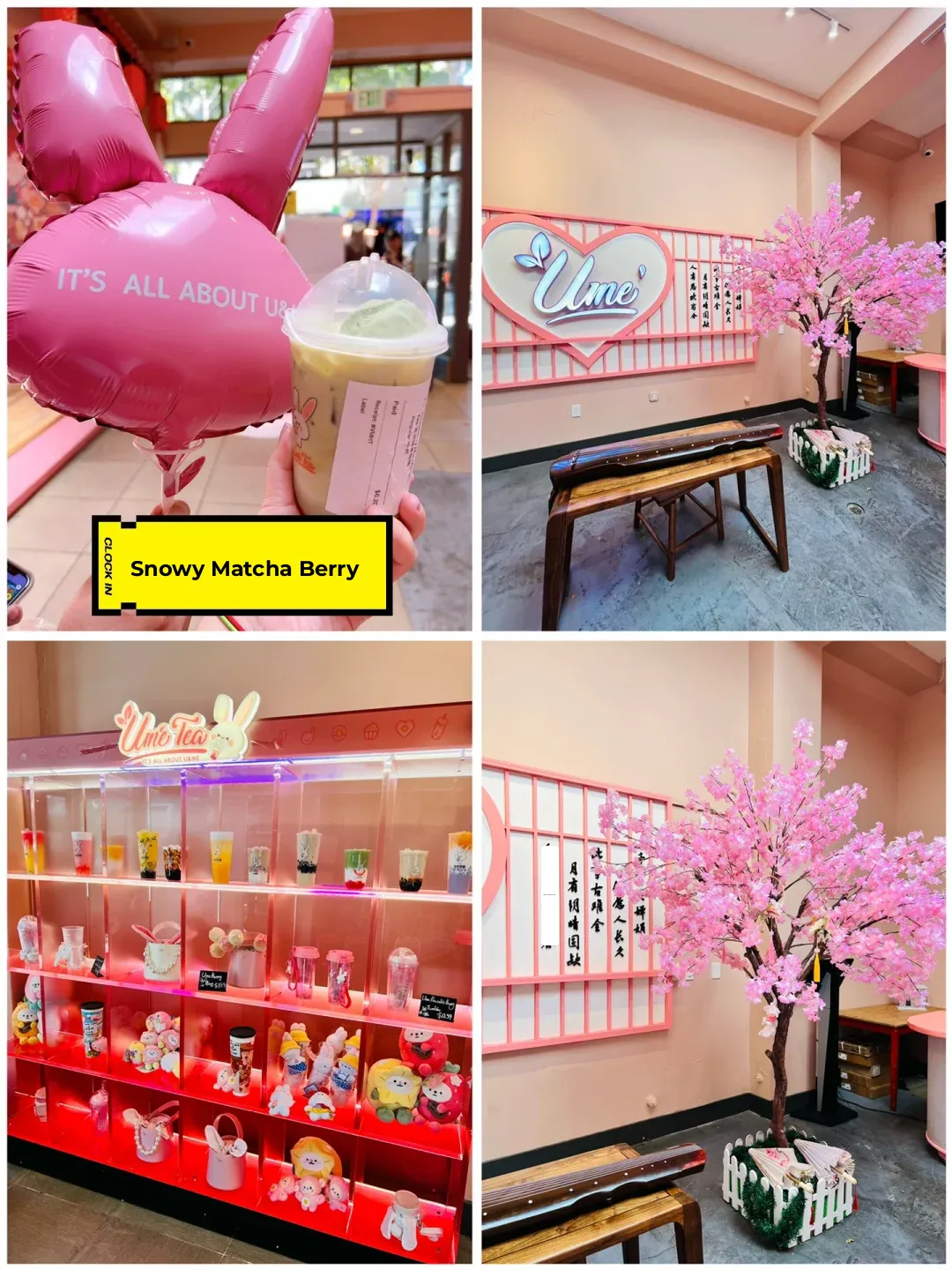 Bay Area Budget Eats Roundup | Rice Noodles • Spicy Hot Pot • Braised Pork Rice