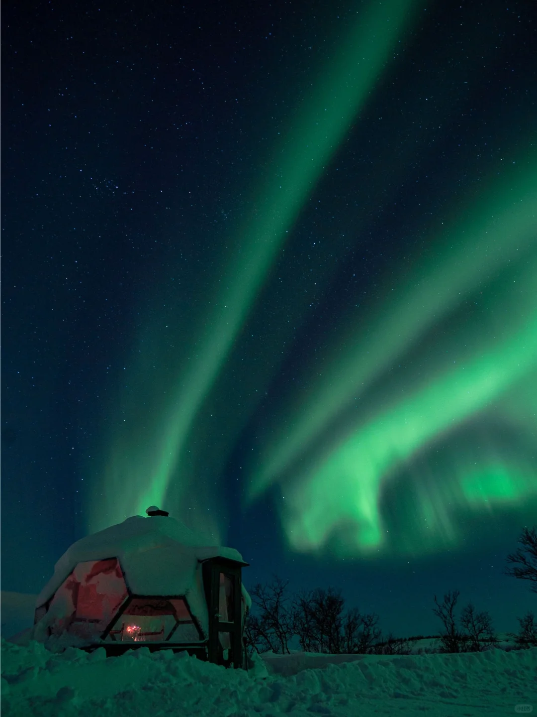 🇺🇸 5-Day Dreamy Aurora Adventure in Alaska ✨ Stay in Glass Igloos