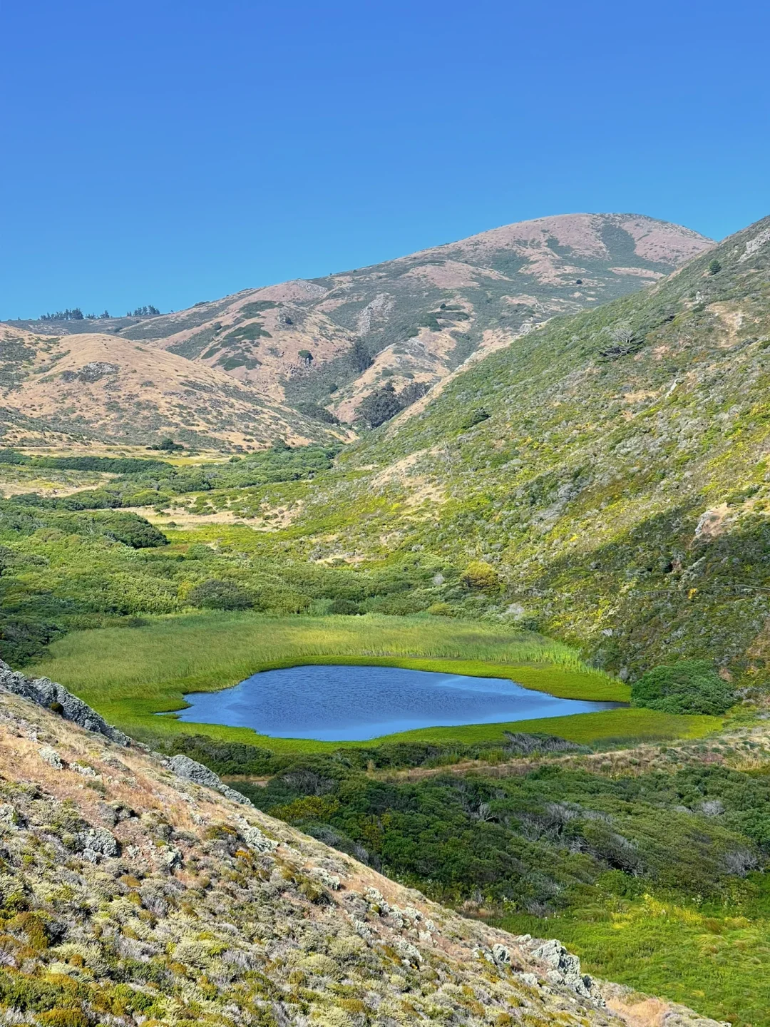 Bay Area Weekend | Off-the-Beaten-Path Hike to the Beach 🧗