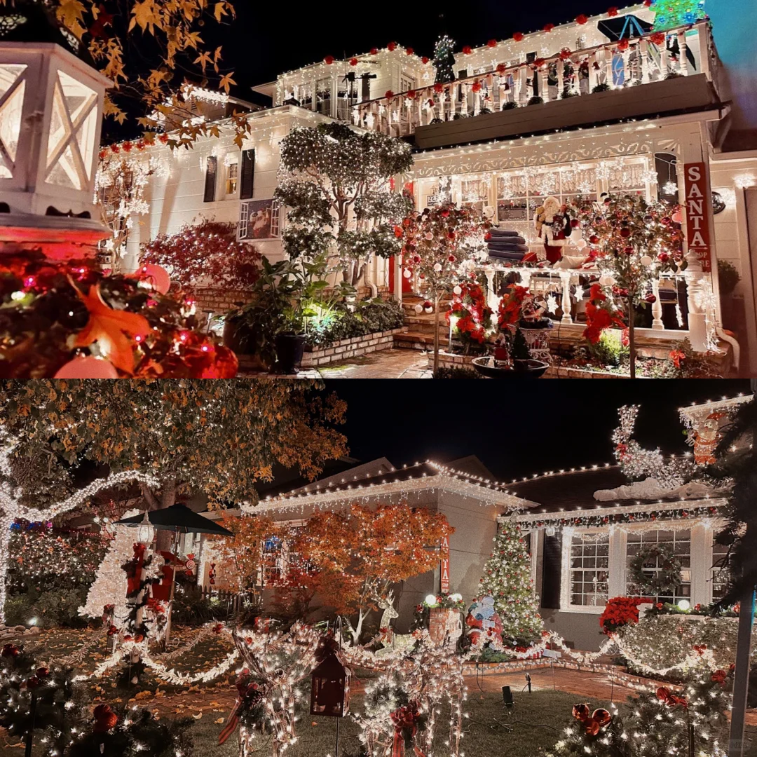 Bay Area Christmas Light Extravaganza Street 🎄