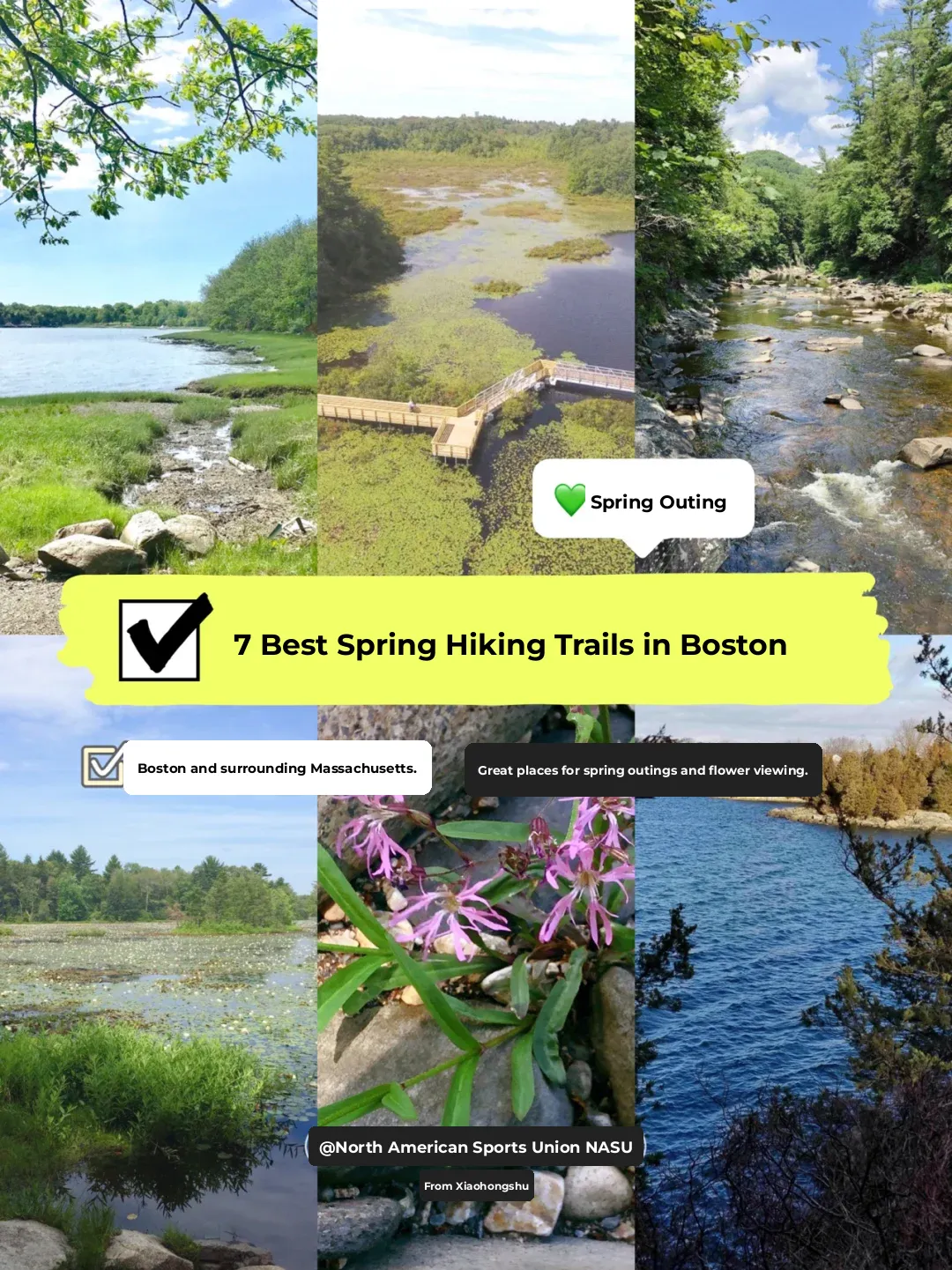 Spring Hiking Adventure🍃 Top 7 Scenic Trails Near Boston for a Perfect Outing🥾