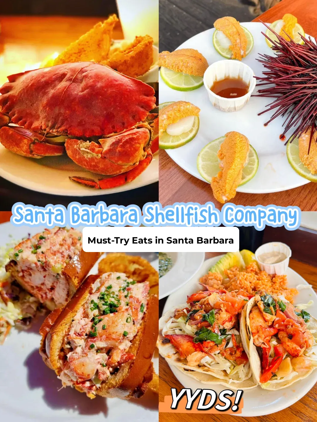 Absolutely Delicious Spot! 🍽️ Santa Barbara Goers, Hurry and Go!