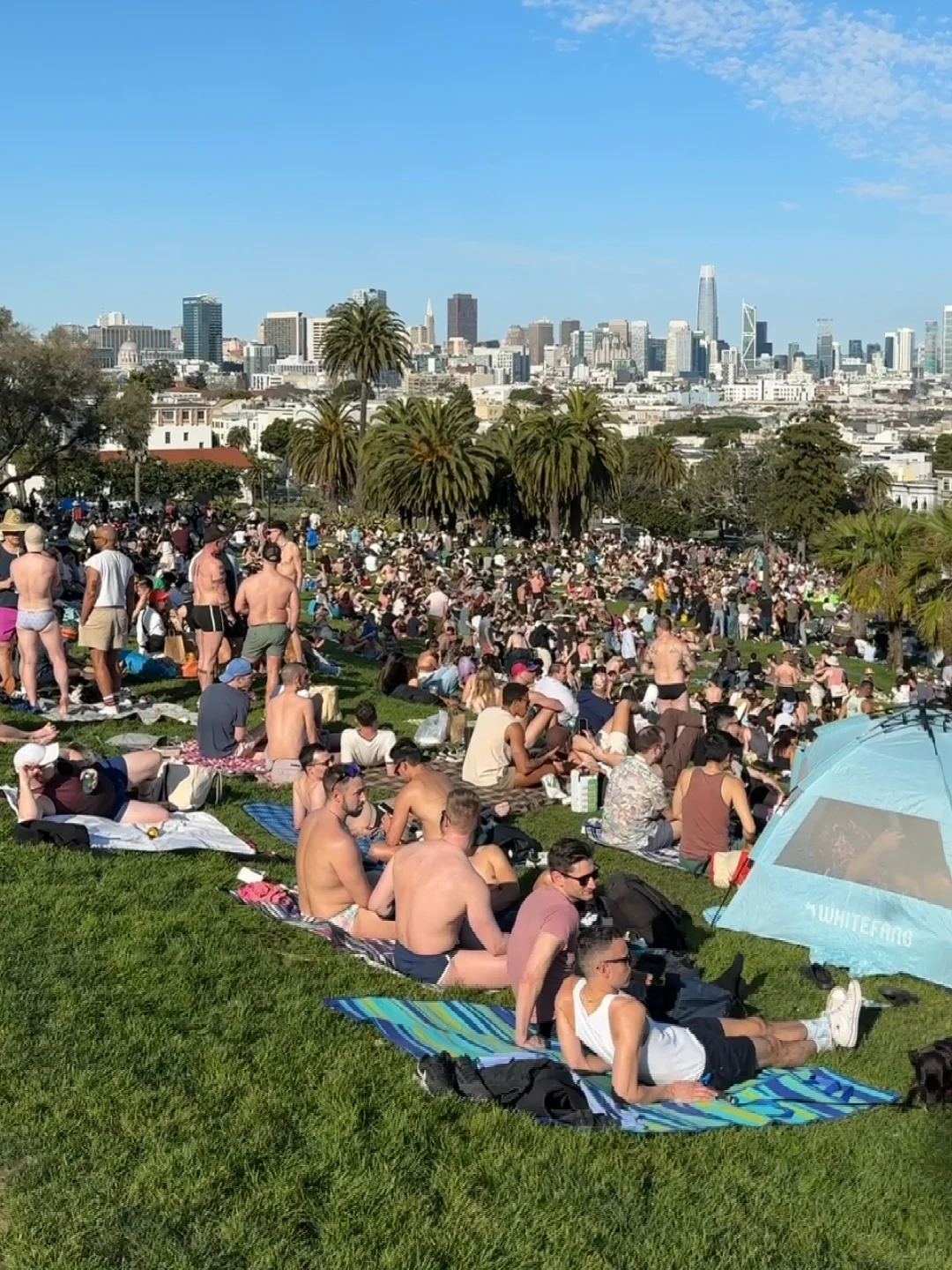 The Urban Park Culture of San Francisco