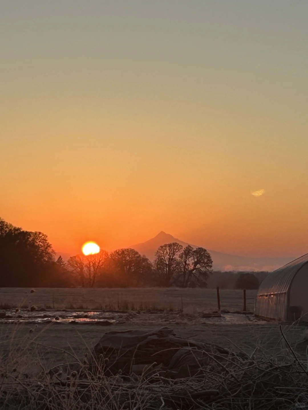 Happy Lunar New Year �🎊