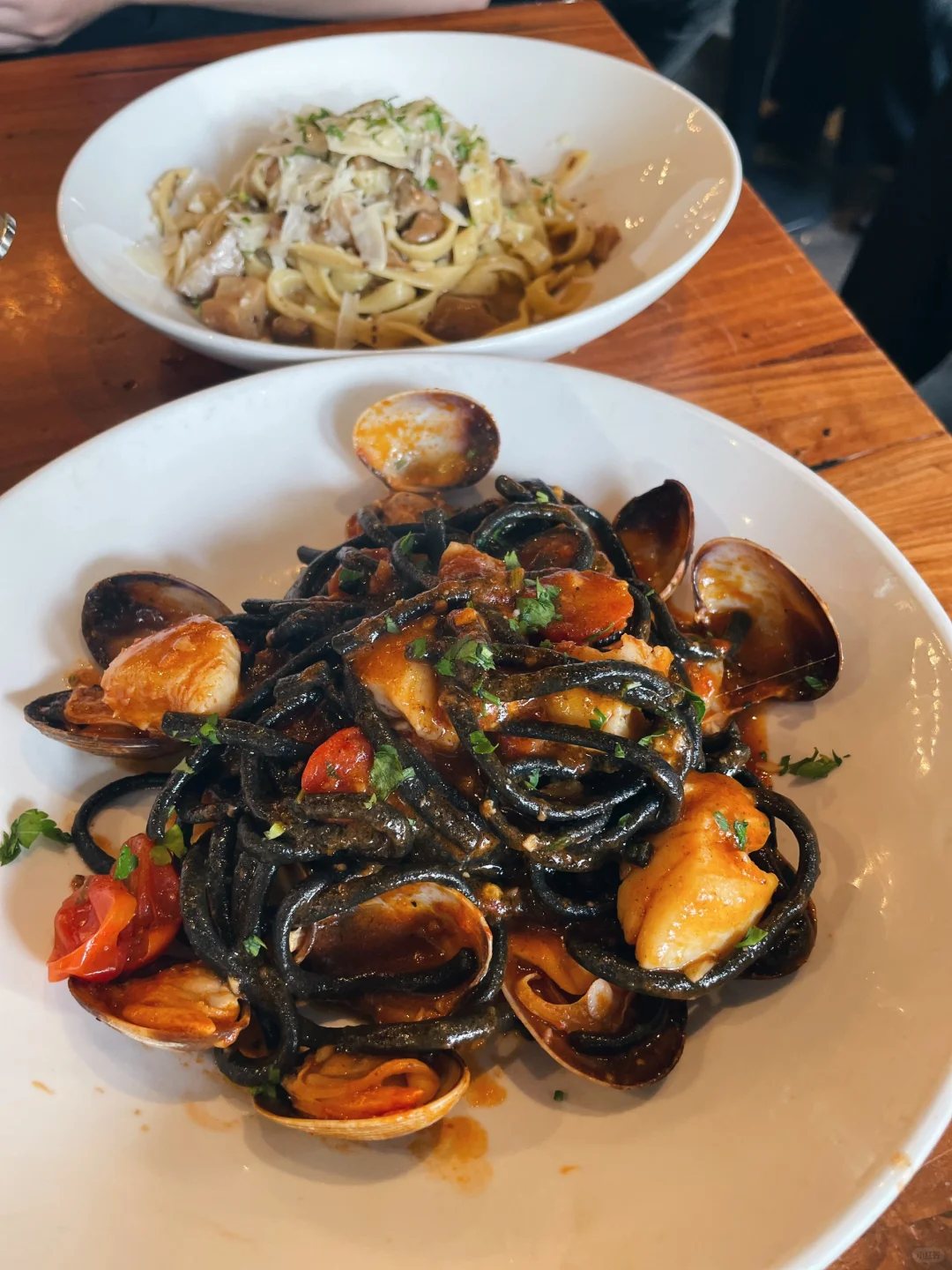 San Francisco｜Squid Ink Pasta – This Place is an Absolute Hidden Gem!
