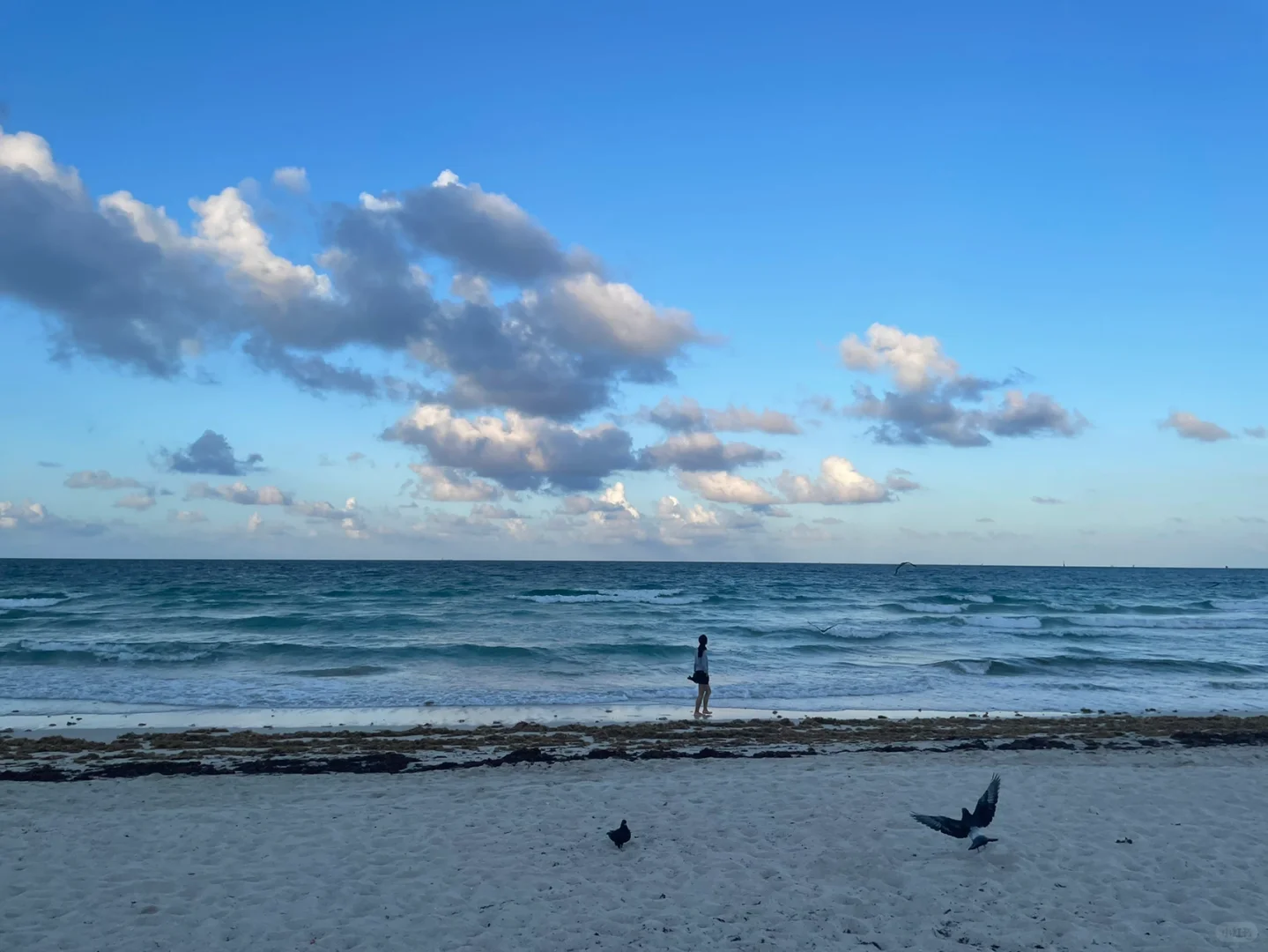"Miami Travel Guide: Avoiding the Pitfalls | 🏖 Miami Beach Edition"