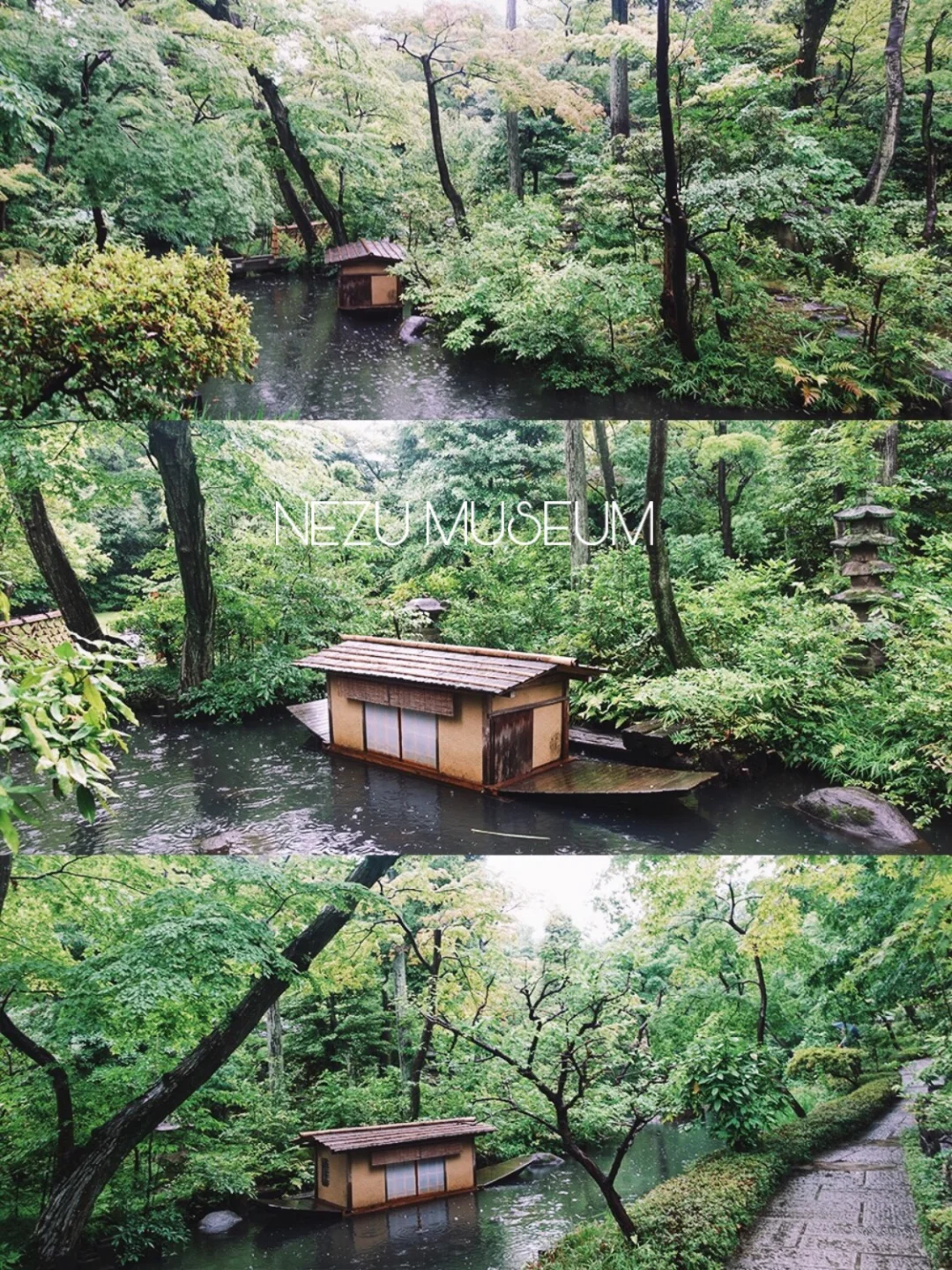 Tokyo's Hidden Gem: Where Japanese Gardens Meet Forest Cafés