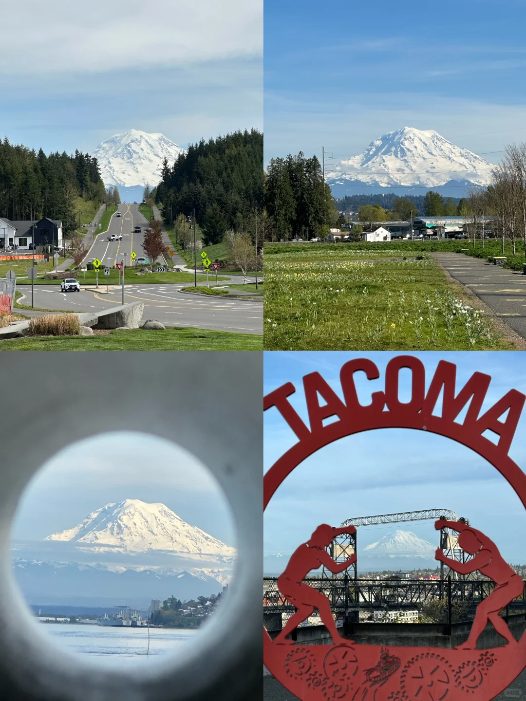 Seattle Area | Tacoma Day Trip: Capturing the Best Mount Rainier Views