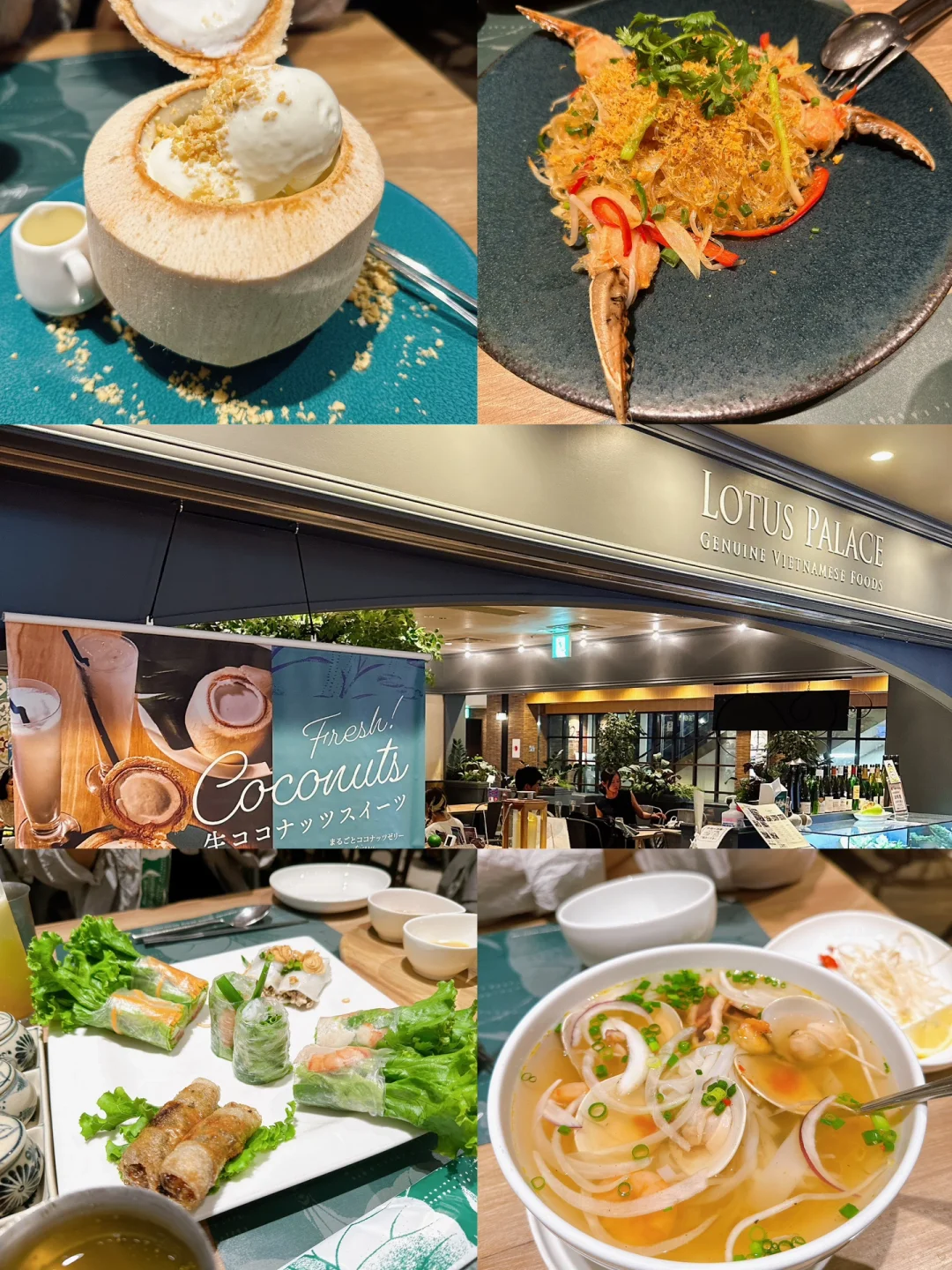 🇯🇵 Tokyo Ikebukuro | Delicious Vietnamese Food in a Great Setting
