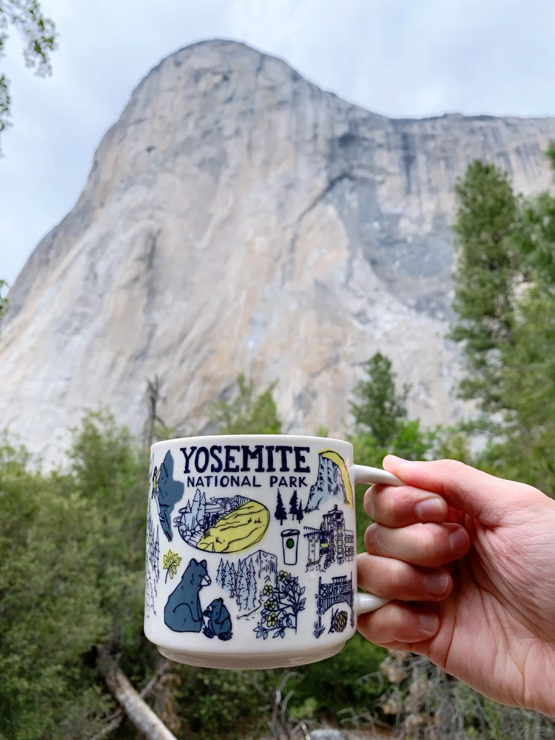 Latest! Starbucks Mug - Yosemite National Park!