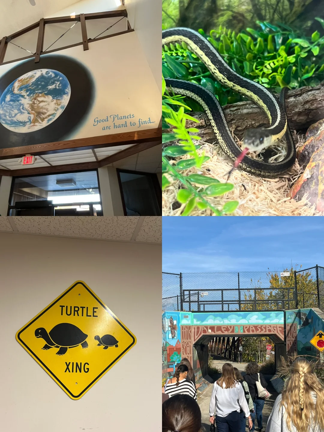 **Plog | School-Sponsored Field Trip: A Day Trip to Milwaukee**