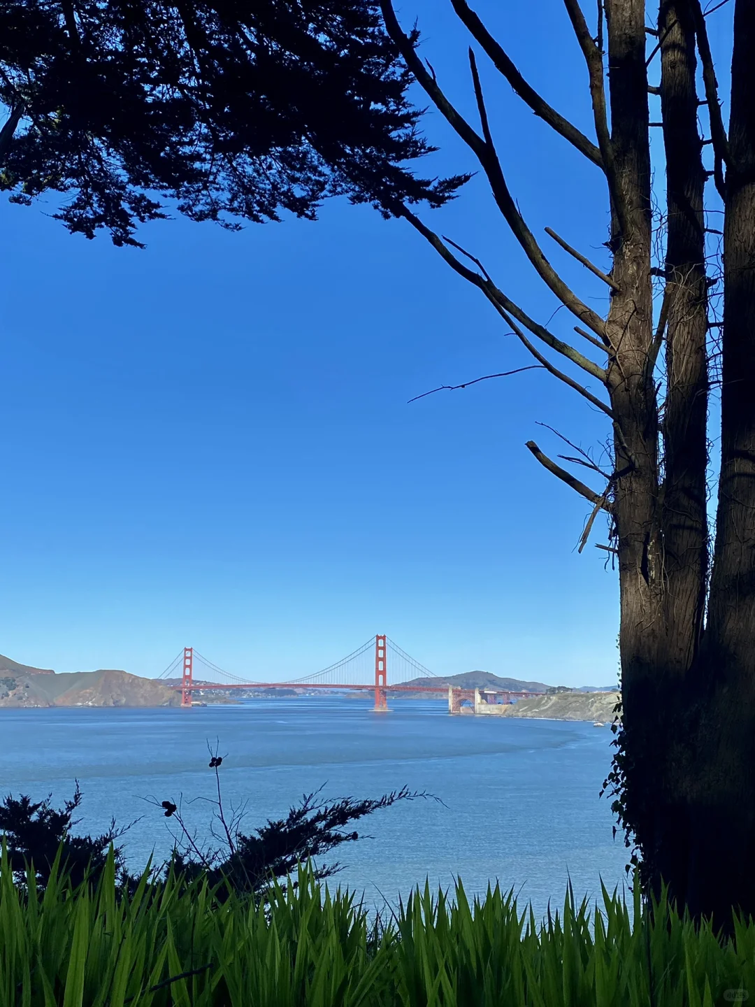 🌟San Francisco Weekend / Spring Hiking🌟