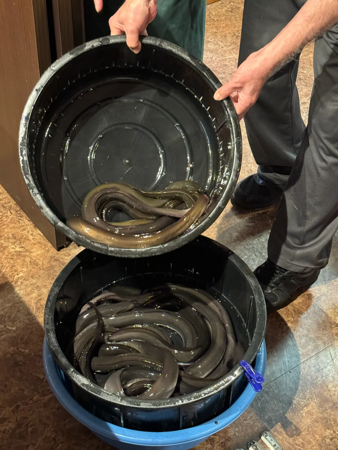 Here's the translation of the social media post title: