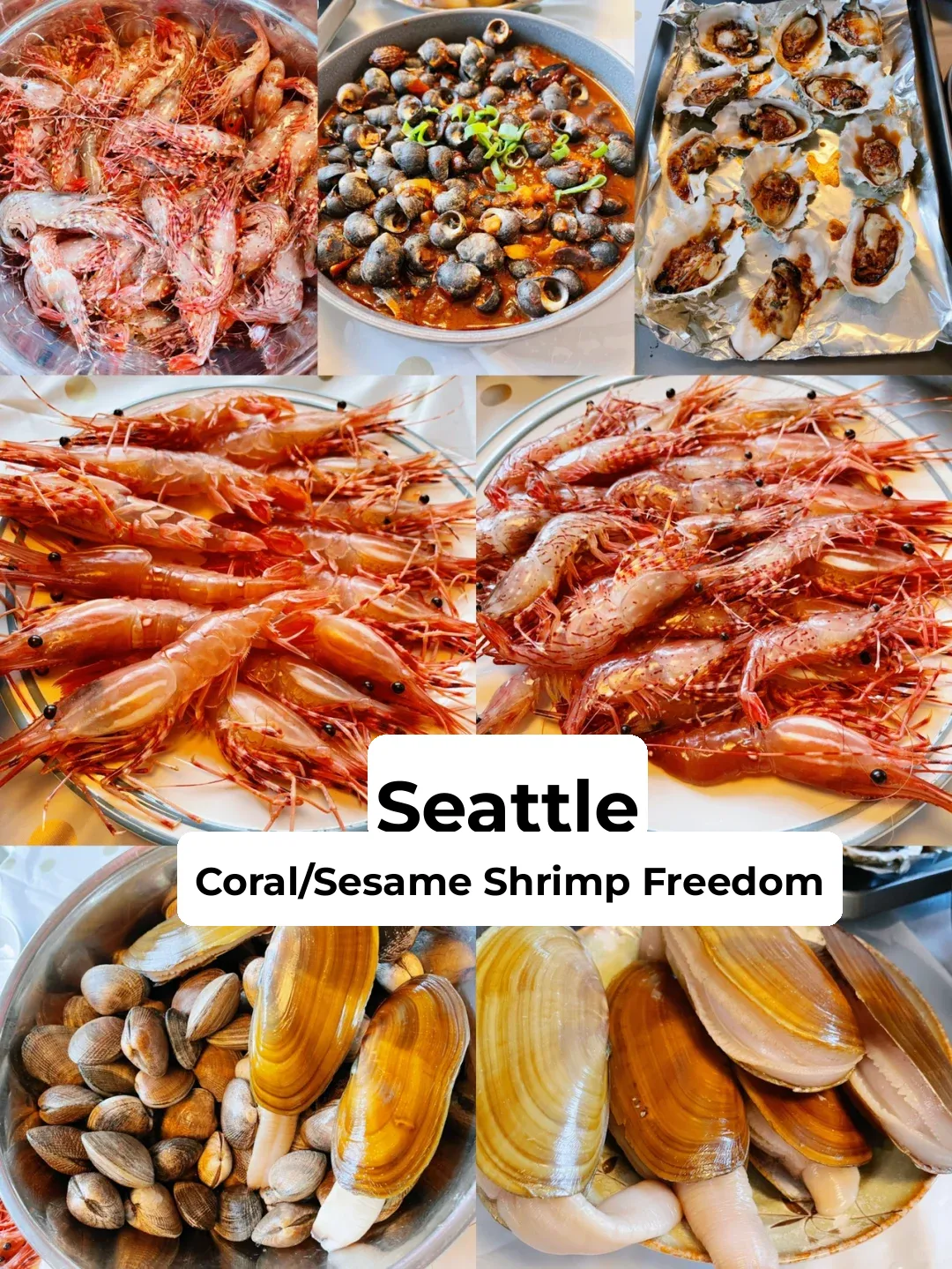 Seattle Hits Coral/Sesame Shrimp Steamboat Freedom! 🦐‼️