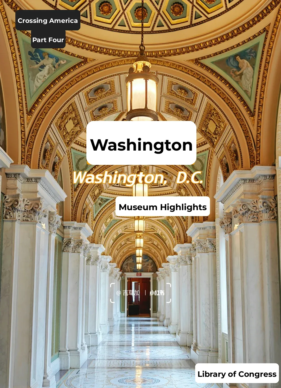 Indulge in a Museum Feast in Washington!