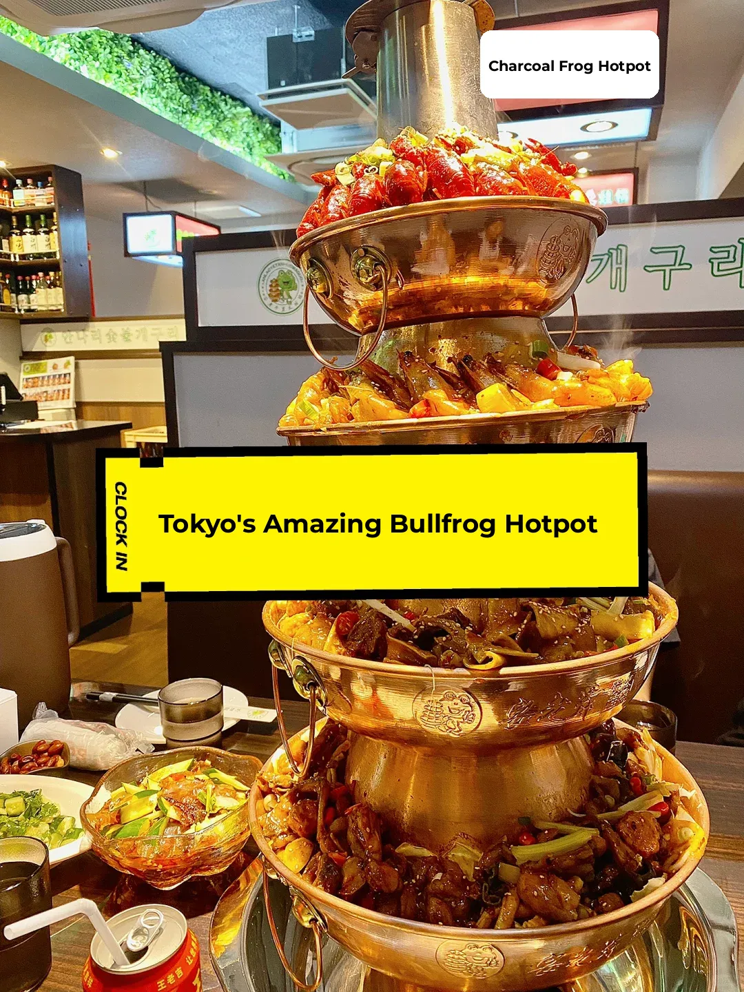 Foodie Adventure | This Tokyo Charcoal-Grilled Bullfrog Pot is 🔥 Delicious!