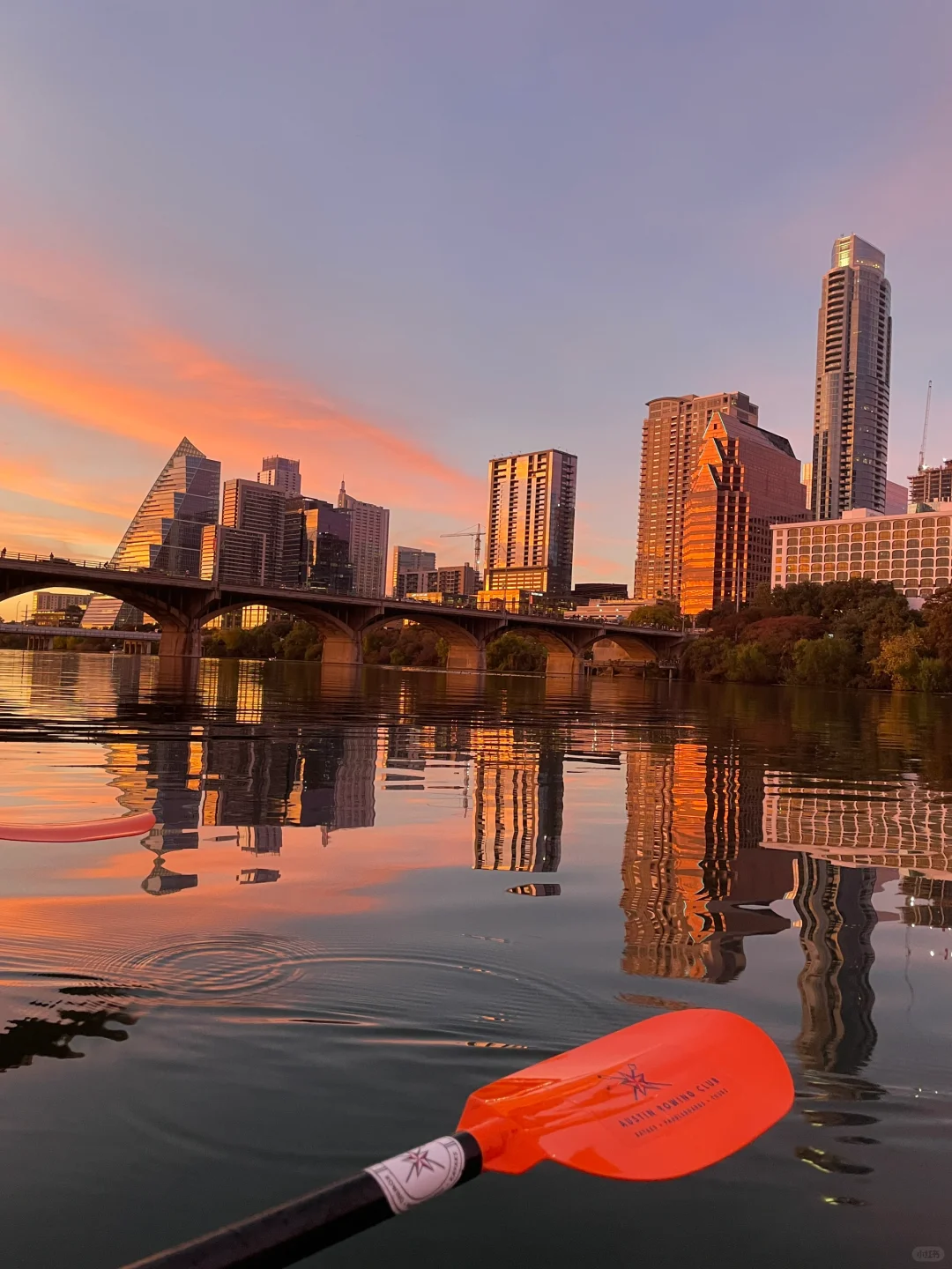 The Most Heartwarming Thing to Do in Austin❗️