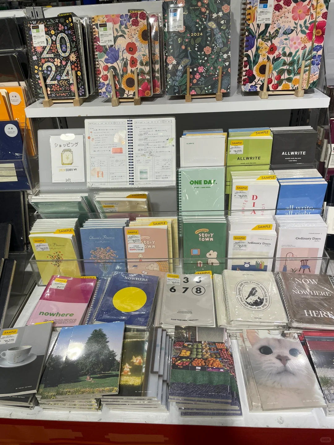 The Tax Refund Haul is Seriously Worth It!