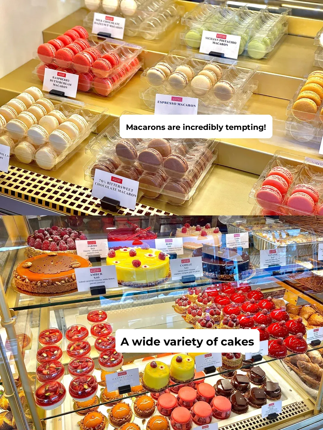 Must-Try Michelin-Starred Cake Shop in St. Louis!!!! 🍰🤤