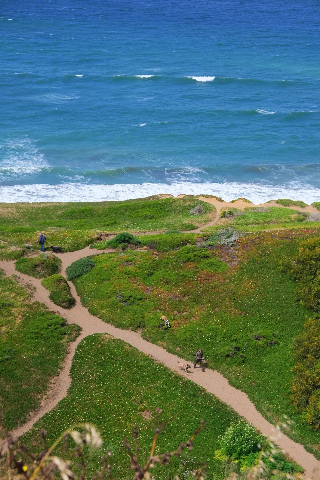 Bay Area Weekend: Early Morning Hikes Are the Real Deal