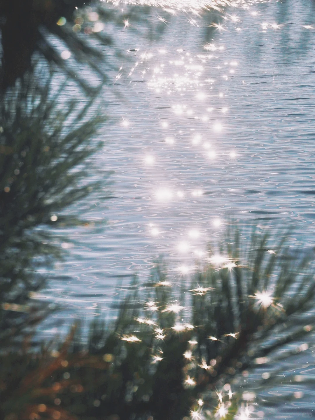 ✨Awaiting the Celestial Tides: Summer in Seattle