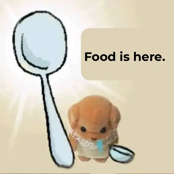 San Jose in the Bay Area ✨ 1 Person Shares 1 Must-Try Restaurant They’d Take Friends To 😋