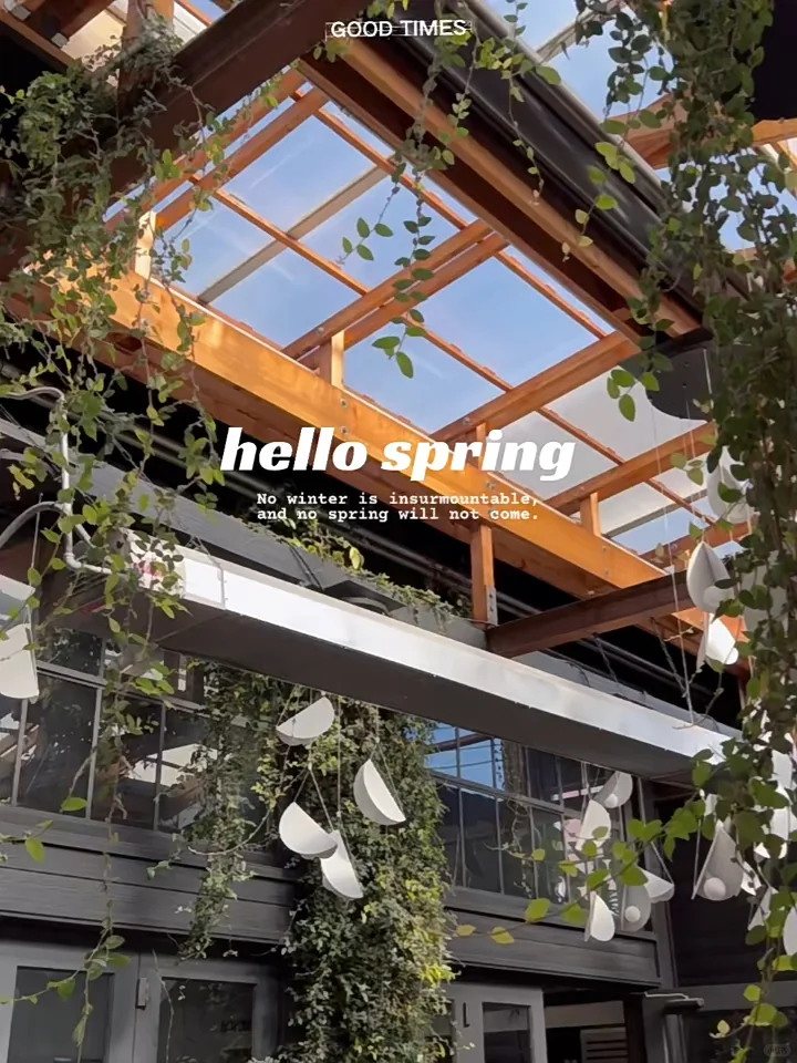 Designer's Exploration: Top Lunch Spots in San Francisco