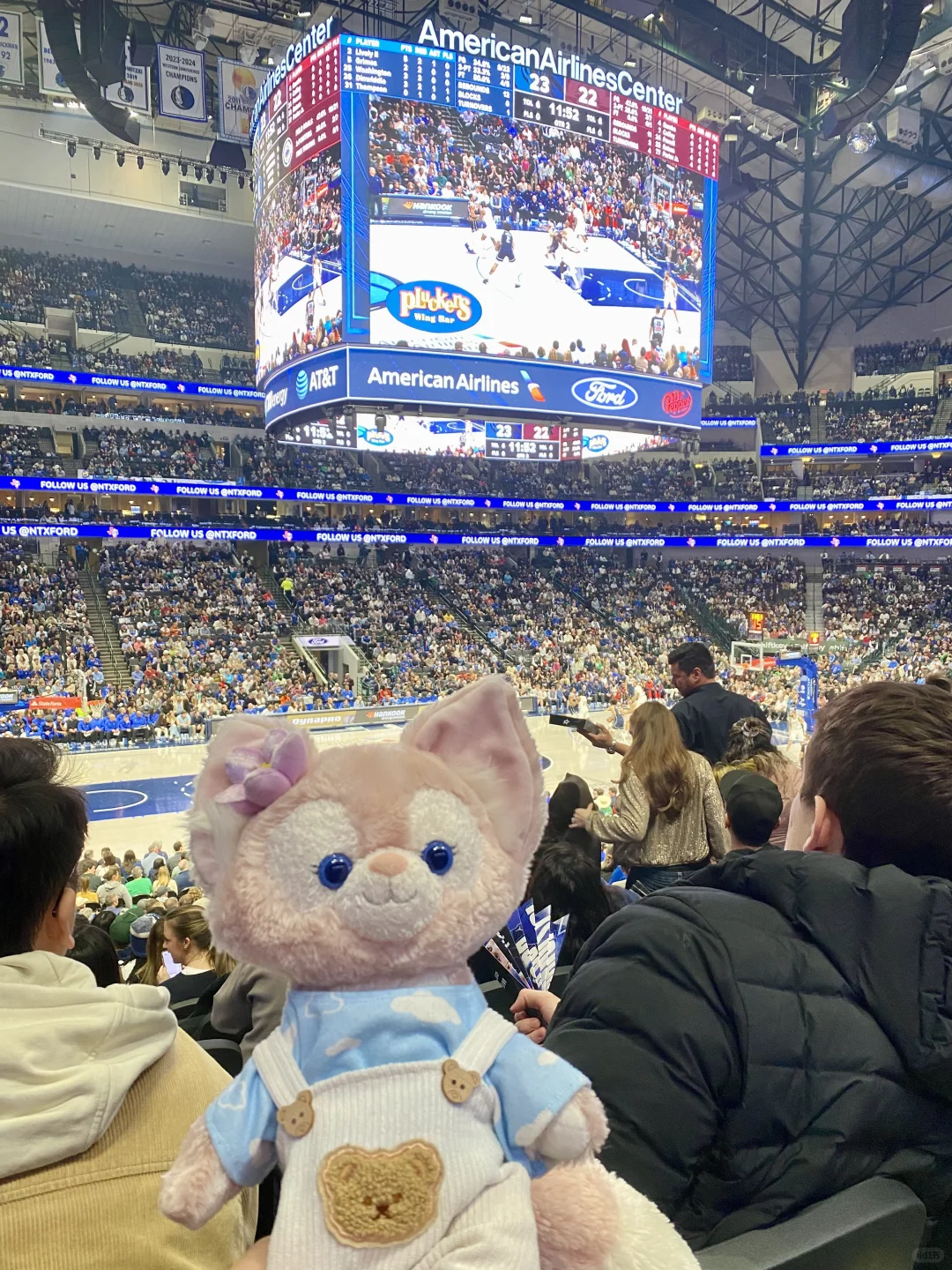 Little Fox's Adventure - Dallas, TX