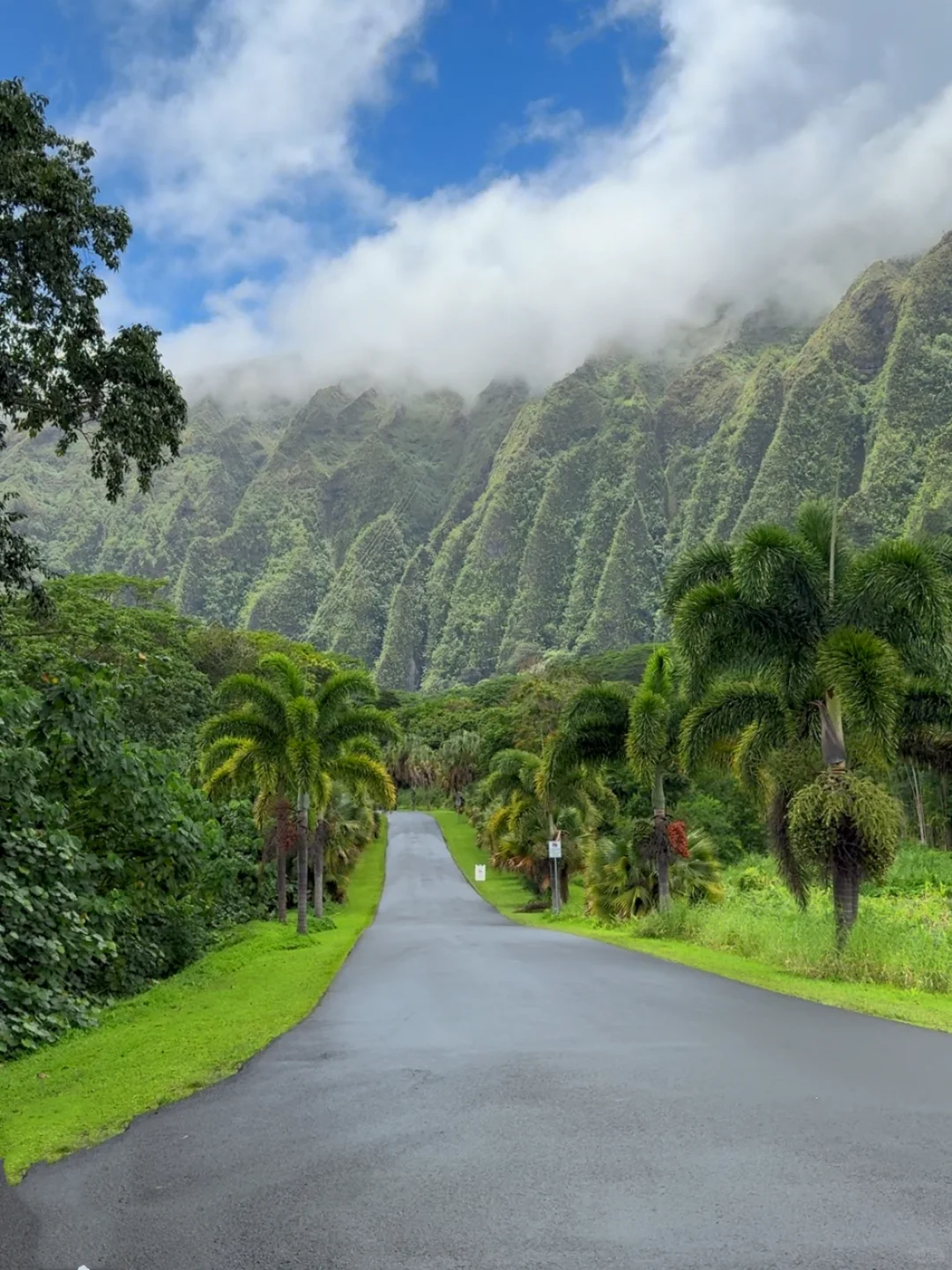 Hawaii🌴 A place worth visiting countless times in life❗️ Truly breathtaking🫧