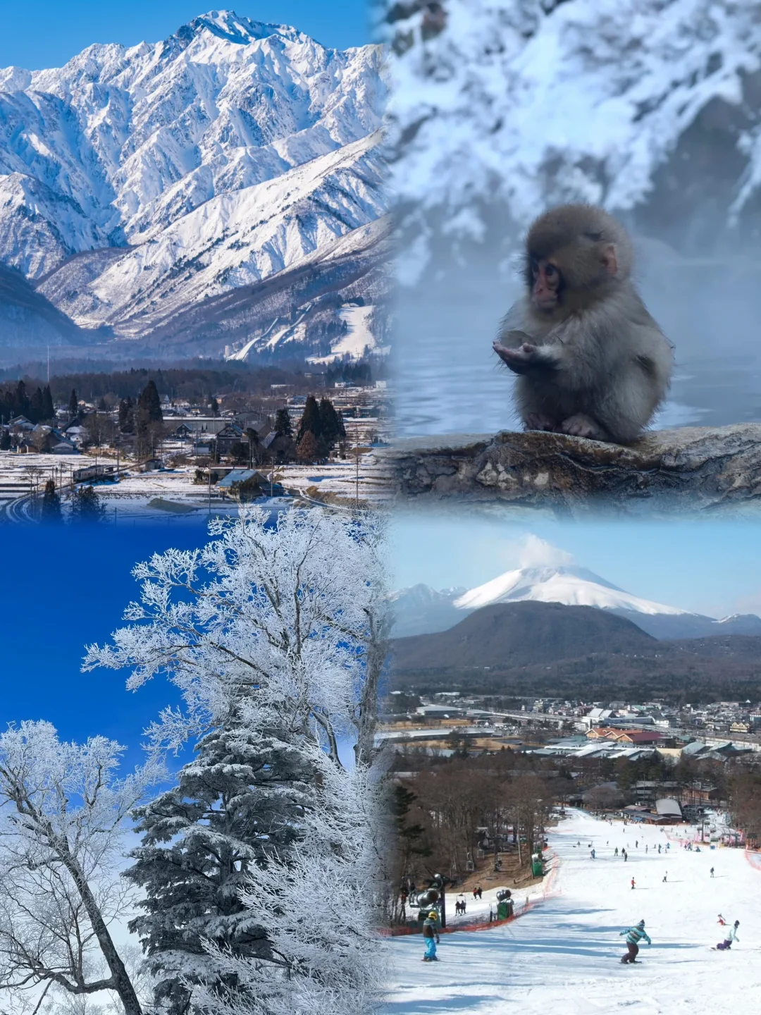 Places in Japan Even Better Than Hokkaido in Winter? Nagano Takes the Crown! ‼️