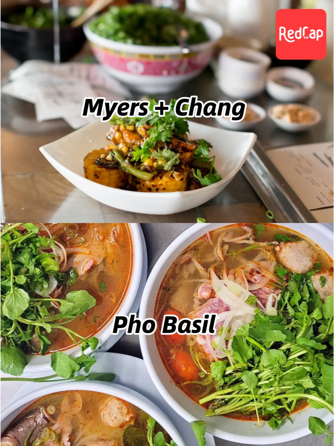 Boston Southeast Asian Restaurant Roundup 🔥 Spicy-Sour Lovers Approved