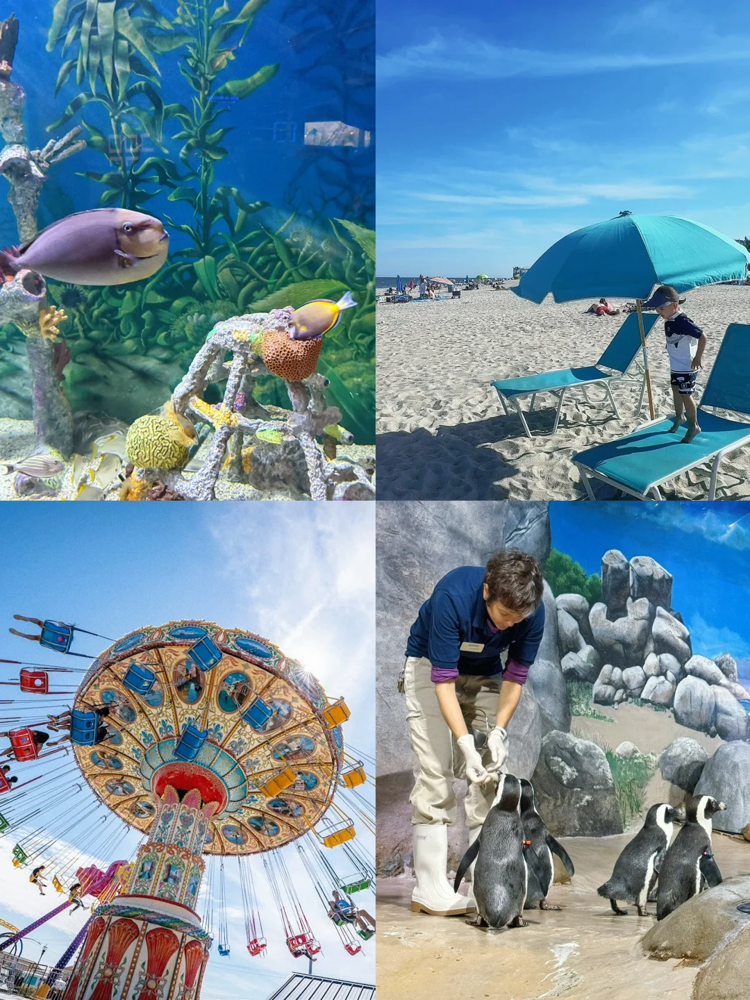 Top Spot for Family Fun in New Jersey | Jenkinson's Boardwalk