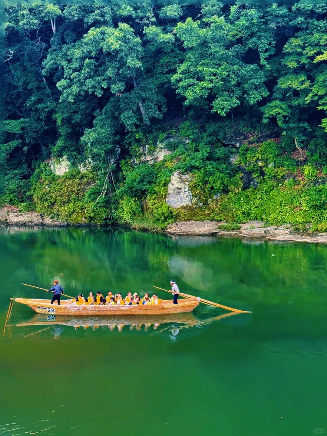 🇯🇵 Off the Beaten Path in Tokyo: 🍃 1500 Yen Secret River Trek & Chill Float Adventure